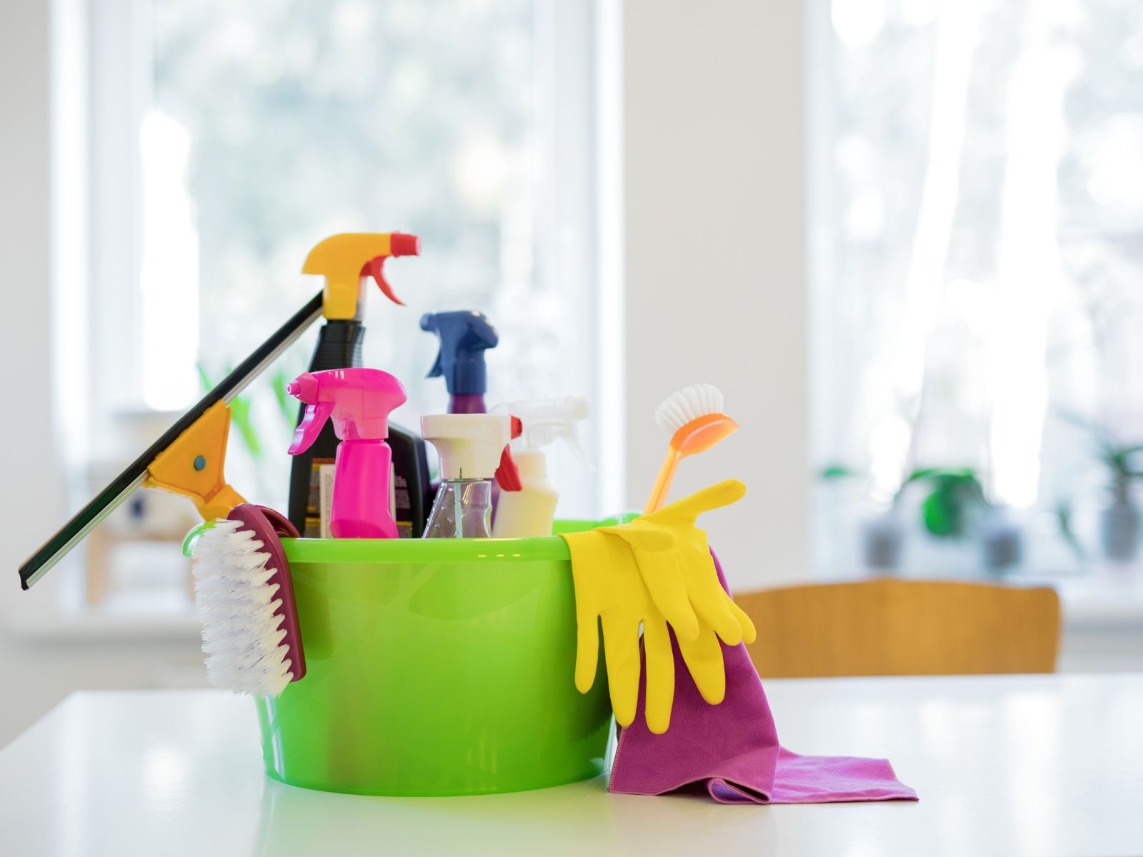 Eco-Friendly Cleaning Products Safe for Pets and Children  