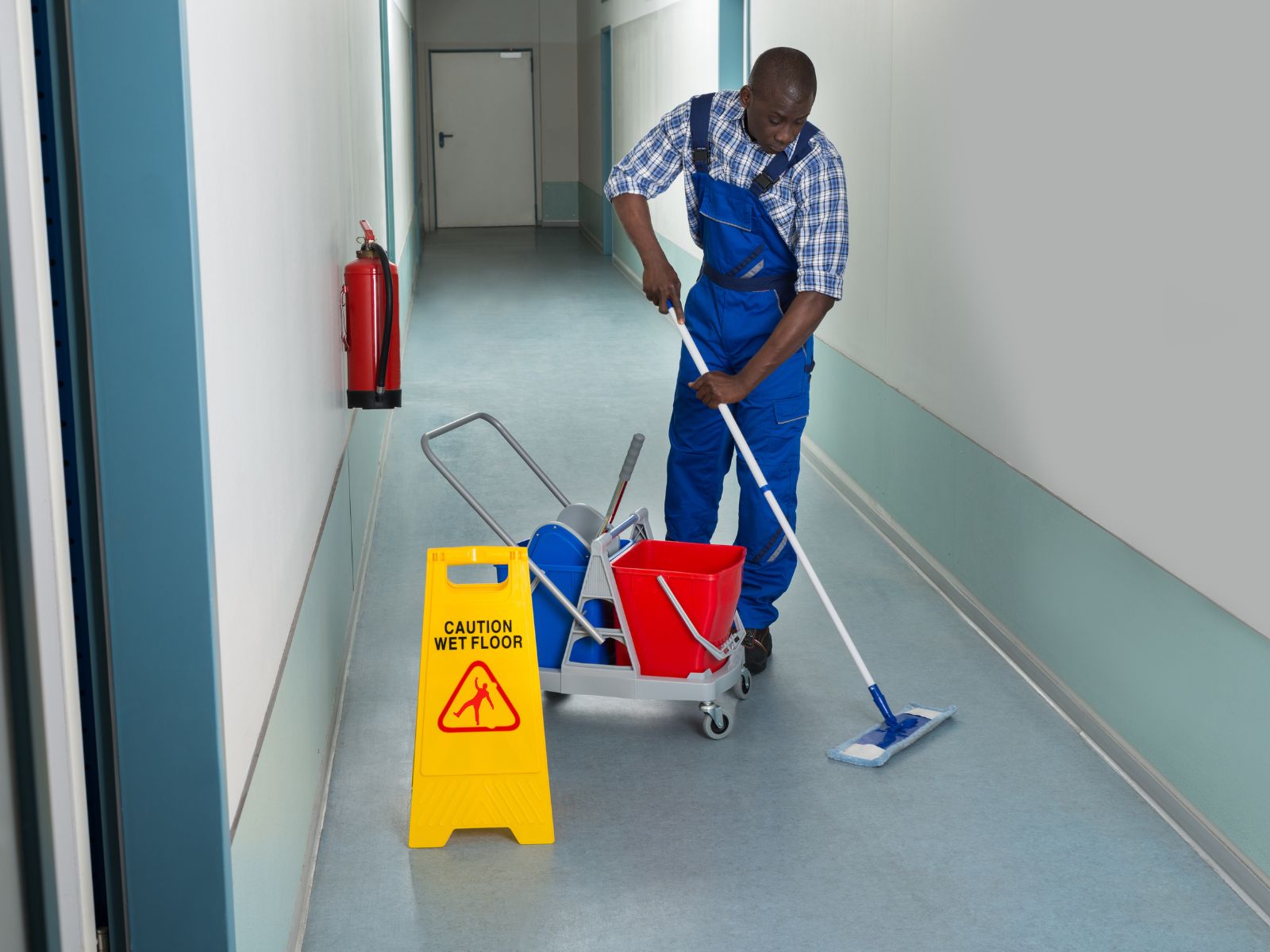 Experienced and Professional Cleaning Staff  